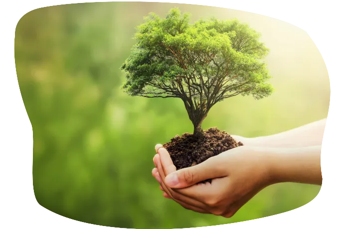 ecosostenibilità
